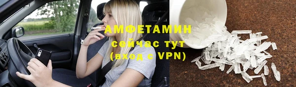 шишки Пестово