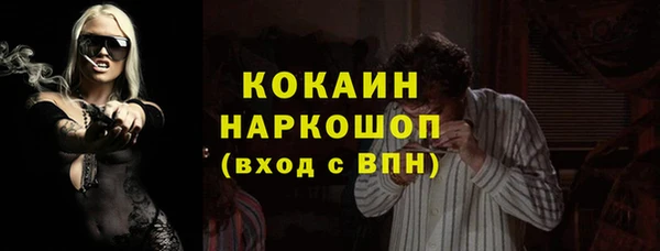 соль ск Алексин